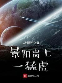 景阳岗视频