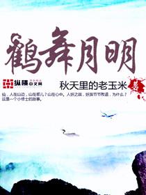 鹤舞月明 林飞凤
