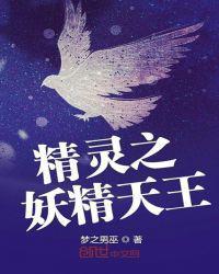 精灵之天王的冠军之路