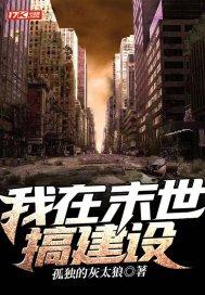 我在末世搞建设nph