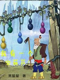 我有一个宝葫芦350左右