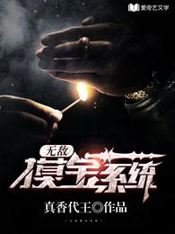无敌宝体txt