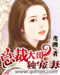 总裁哥哥独宠宝贝妹妹