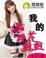 我的校花姐姐木月笔趣阁