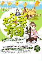 腹黑娘亲儿女太逆天