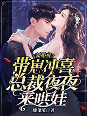新婚总裁宠妻上瘾免费阅读全文