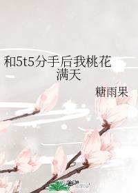 和5t5分手后我桃花满天作者糖雨果
