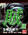 贼胆包天by
