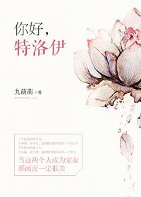 特洛伊介绍