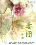 弟蠢姐难!