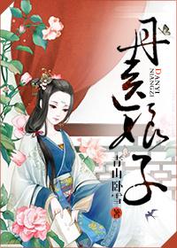 丹医圣手全集