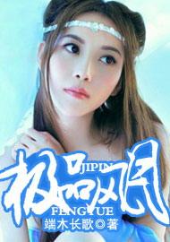 极品风月大亨txt