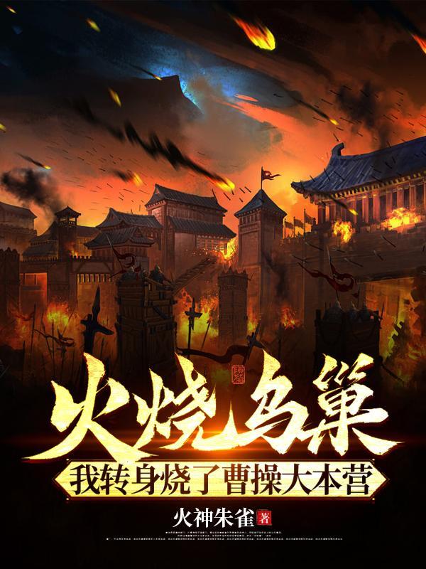 火烧乌巢视频