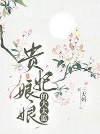 贵妃娘娘是谁