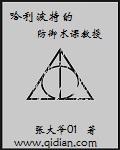 哈利波特的防御术课教授 加料