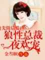 先做后爱狼性总裁夜欢宠在那可以看