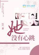 没有心跳的女孩简介