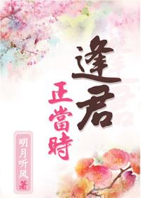 逢君正当时全集免费观看