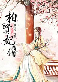 柏贤妃传剧透