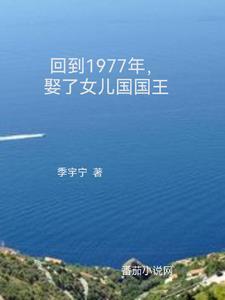 娶了女儿国国王作者季宇宁