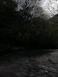 歌曲凝望