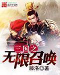三国之无限召唤 堂燕归来