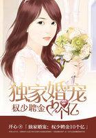 权少的独家新娘