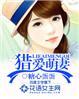 报告总裁