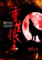 重生狼王萧战