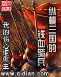 纵横三国的铁血骑兵TXT奇书网