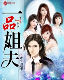 一品姐夫好看吗