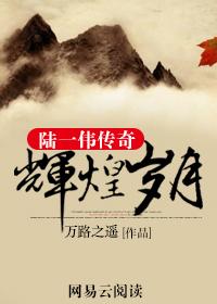 陆一伟传奇txt