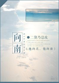 纸上谈婚二货乃讲了什么