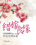 错嫁良缘txt百度