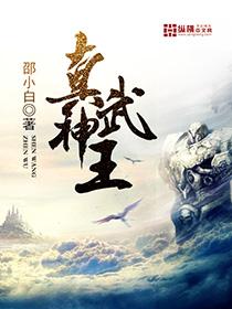 真武神王林玄