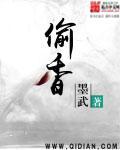 偷香高手全文
