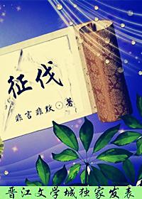 第二次长州征伐
