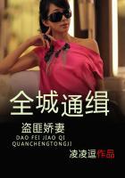 全城通缉讲的什么内容