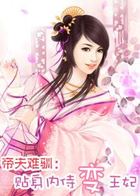 帝夫难驯贴身内侍变王妃免费阅读