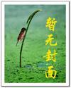 天价婚约老婆大人请签字