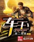 洛圣都改车王