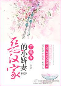 恶汉家的小娇妻讲的啥