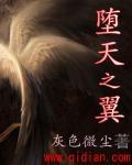 堕天之翼vs