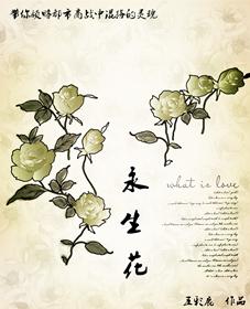 永生花放家里好吗风水好吗