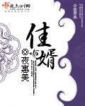 佳婿上榜电视剧在线观看