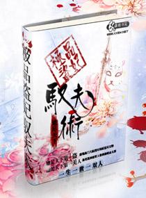 极品盗圣