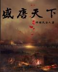 盛唐天下第八集 探索进度100