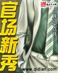 官场新秀免费阅读全文